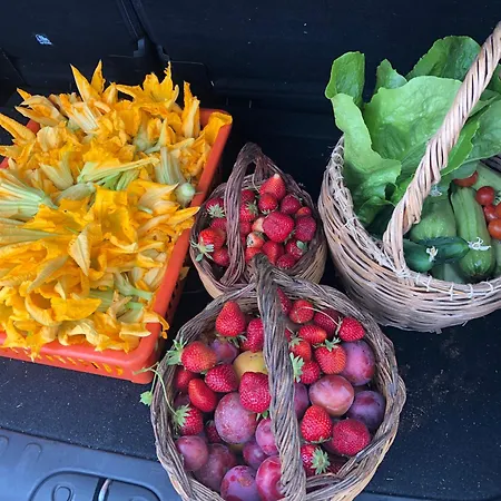 Prázdninový dům Natur House Da Mary Brattiro