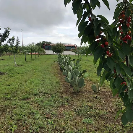 Natur House Da Mary *