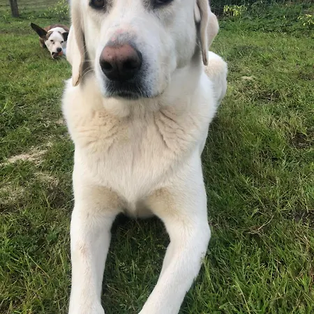 Natur House Da Mary Prázdninový dům